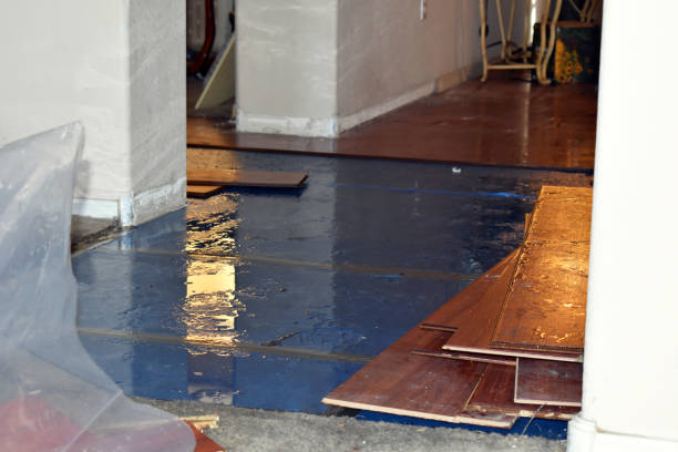 Professional Water Damage Restoration technician working in Hayward, MN